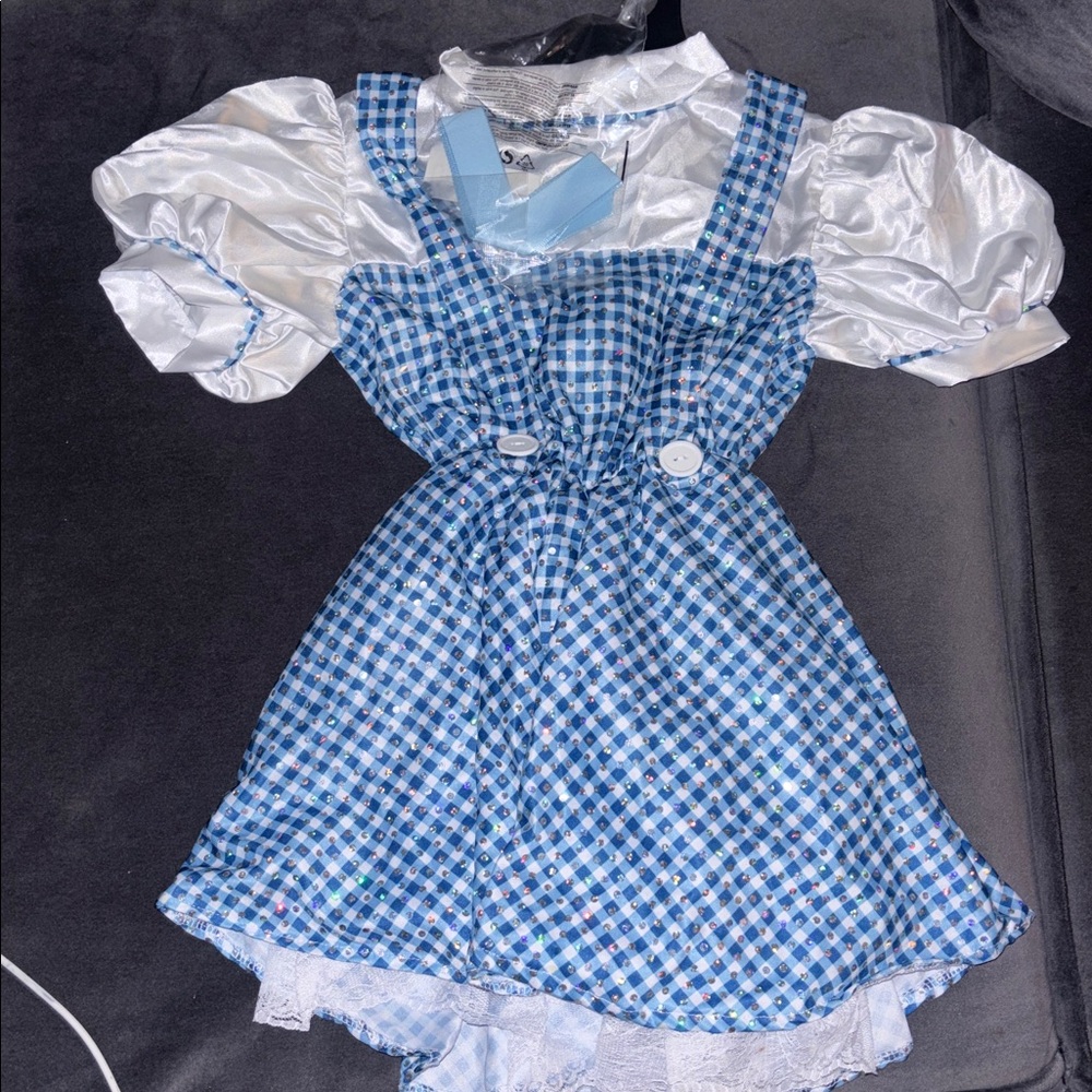 Blue and White Dorothy Costume Dress with Puff Sleeves